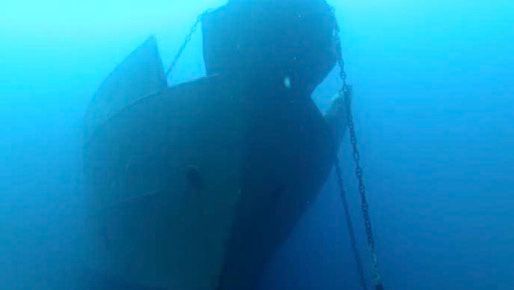 Hailey - Majestic bow that faces SSE into the prevailing Gulf Stream Current welcoming marine life new arrivals